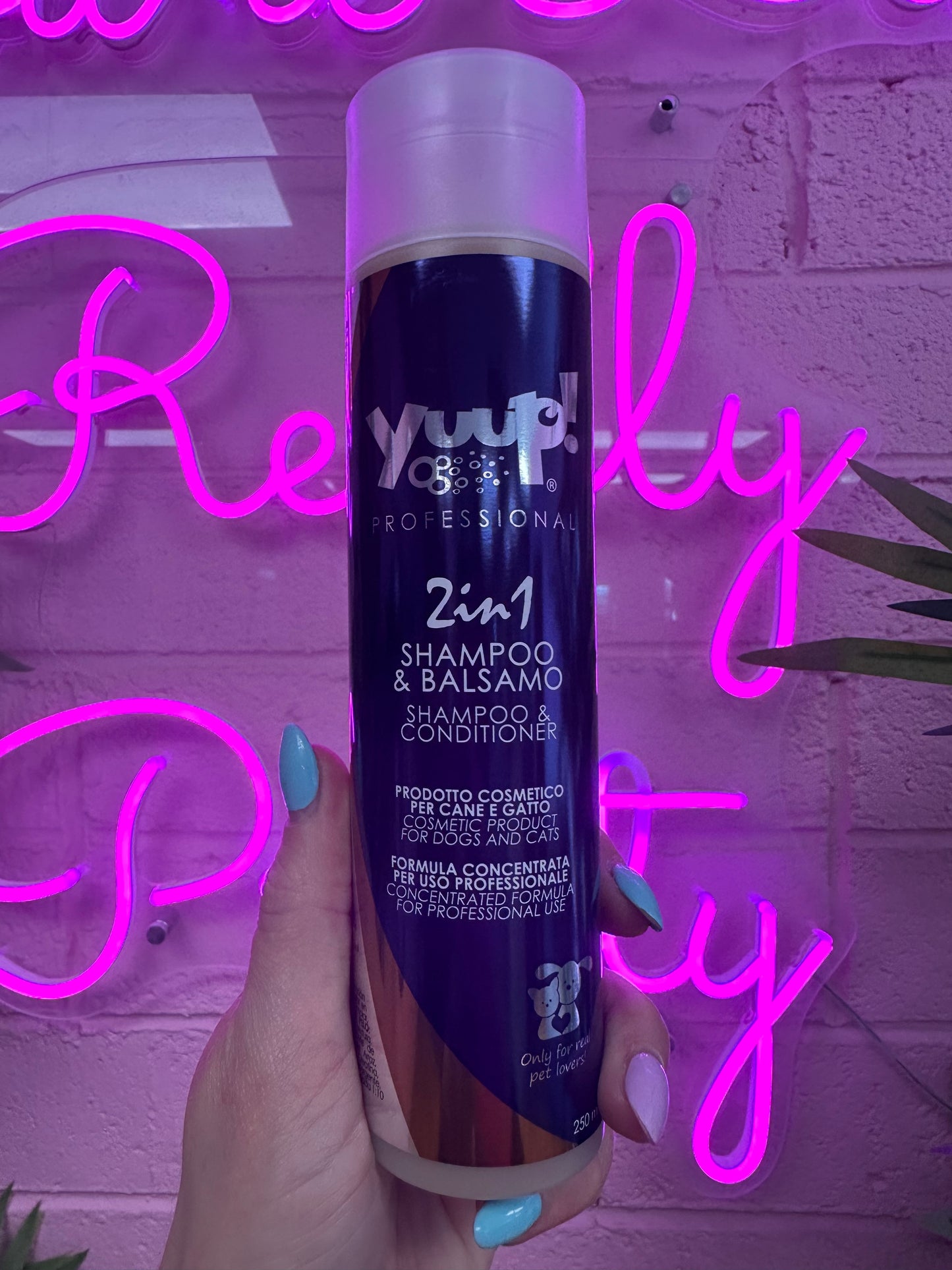 Shampoo and conditioner 2in1 250ml