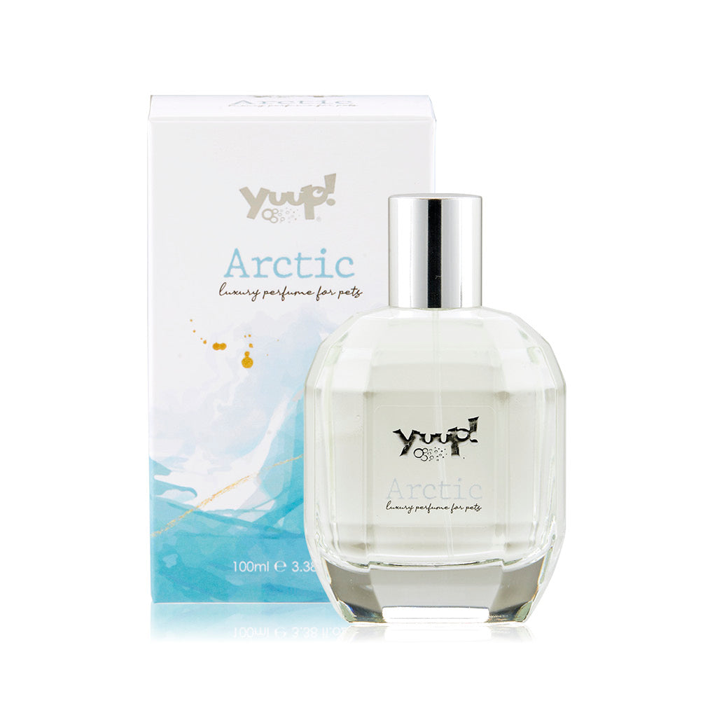Arctic 100ml
