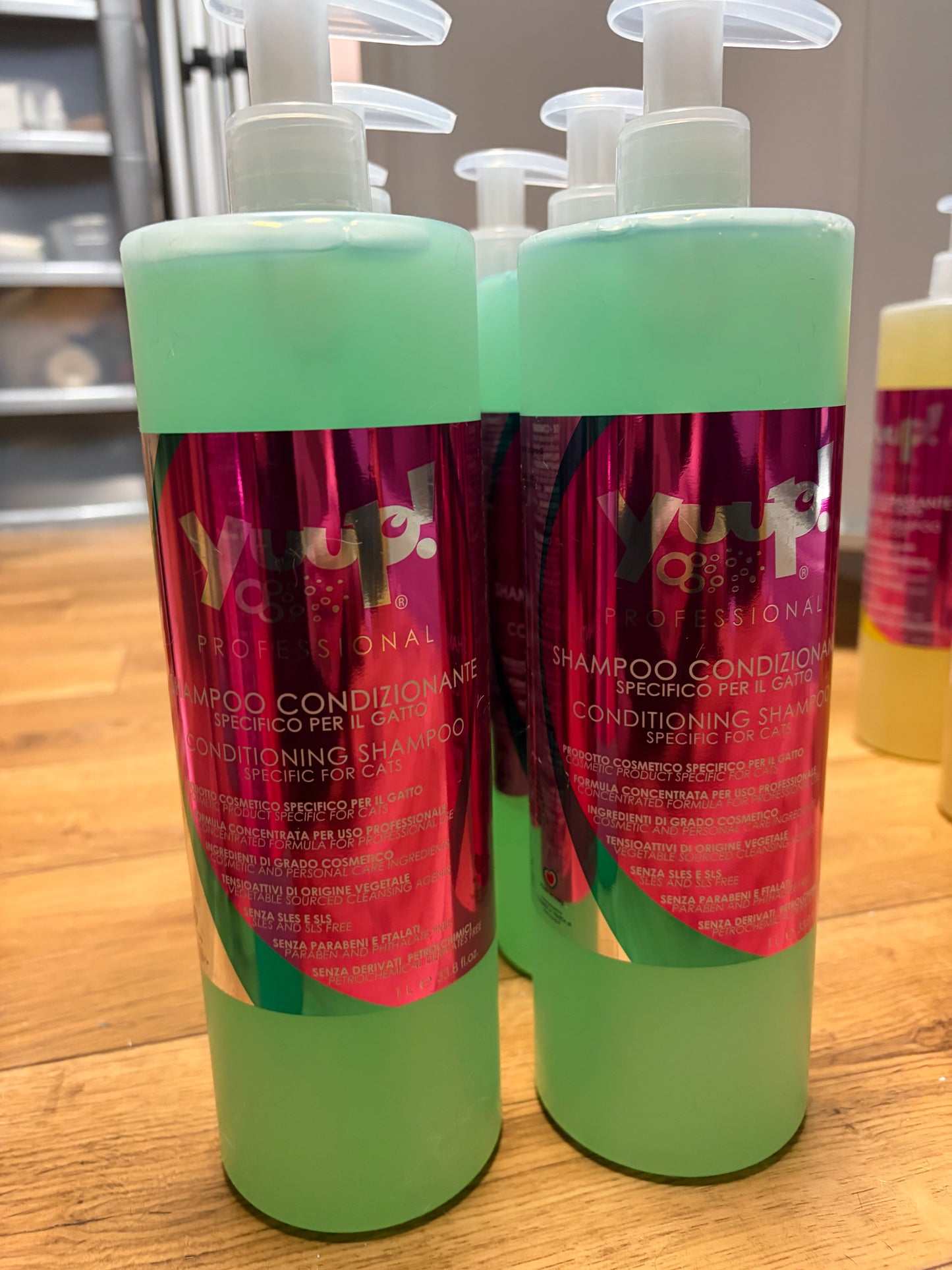 Conditioning shampoo specific for cats 1L