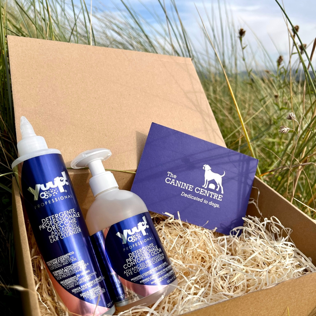 Deluxe Grooming Box