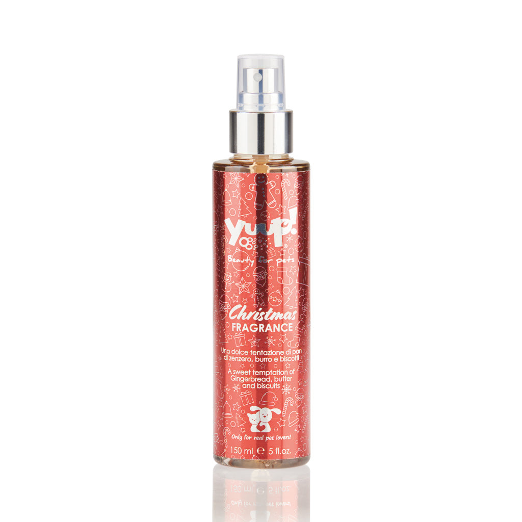 Christmas Fragrance 150 ML