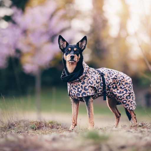 Visibility Raincoat Lite Leopard for Dogs - Size 40