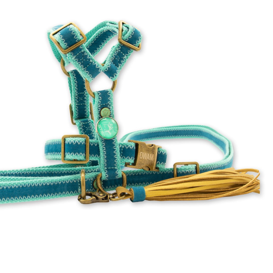 Storm Dog harness and leash - Size XS