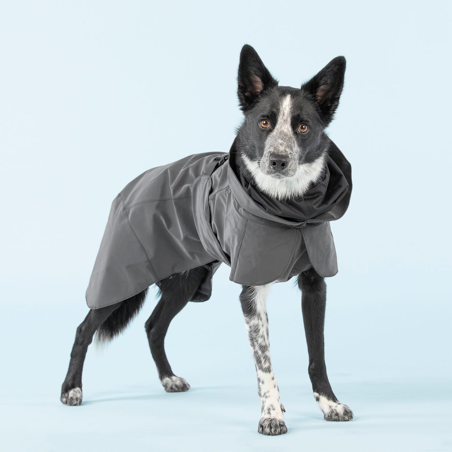 Visibility Raincoat Dark for Dogs - Size 40