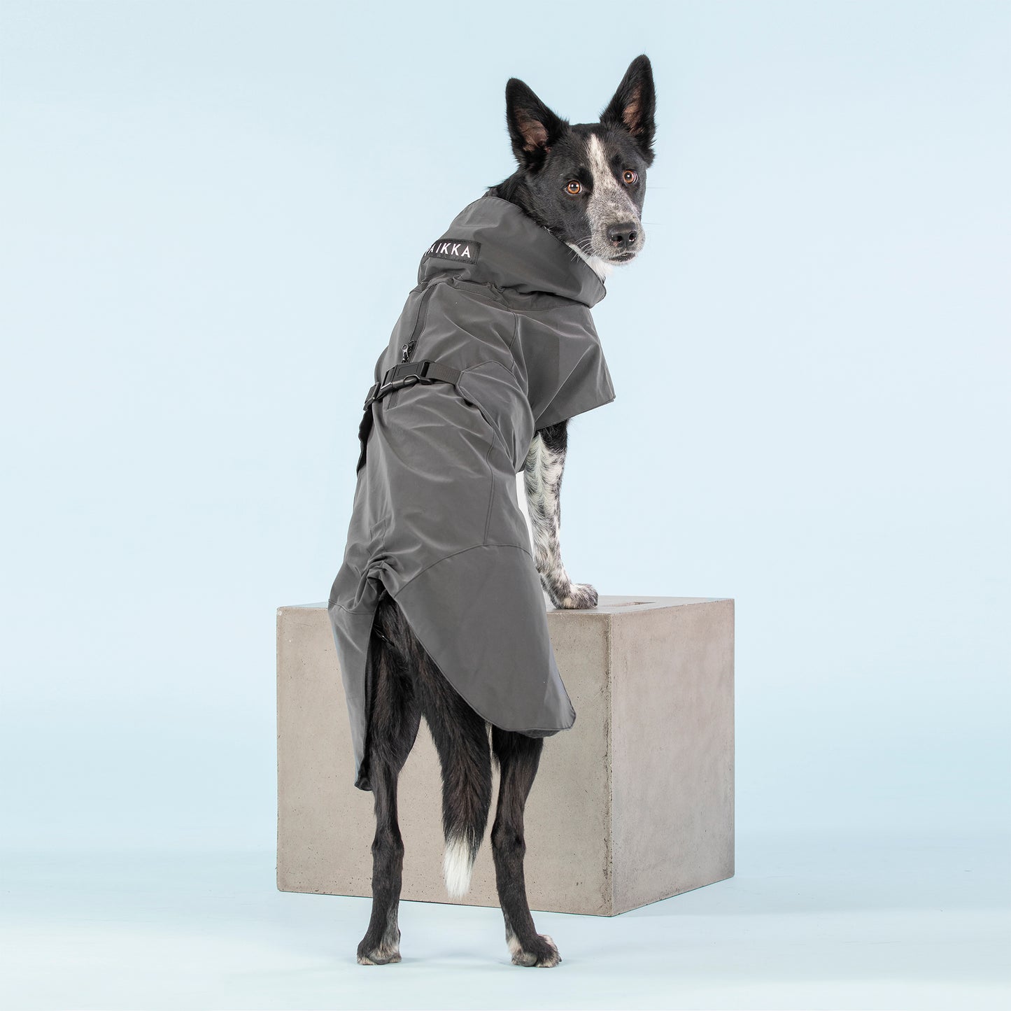 Visibility Raincoat Dark for Dogs - Size 45