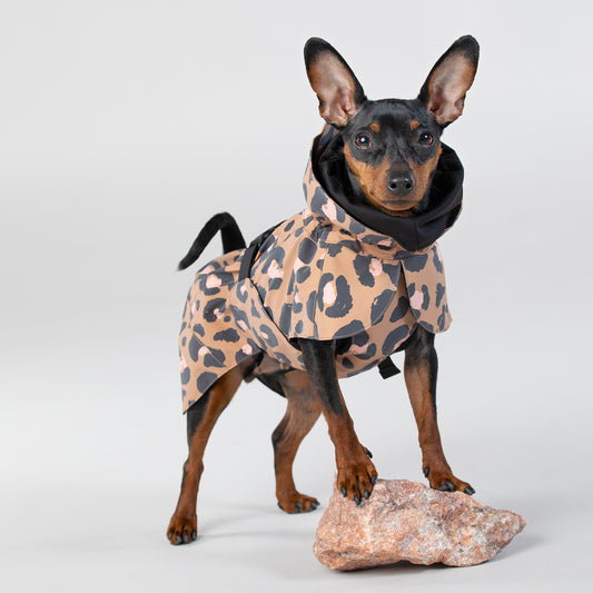 Visibility Raincoat Lite Leopard for Dogs - Size 25