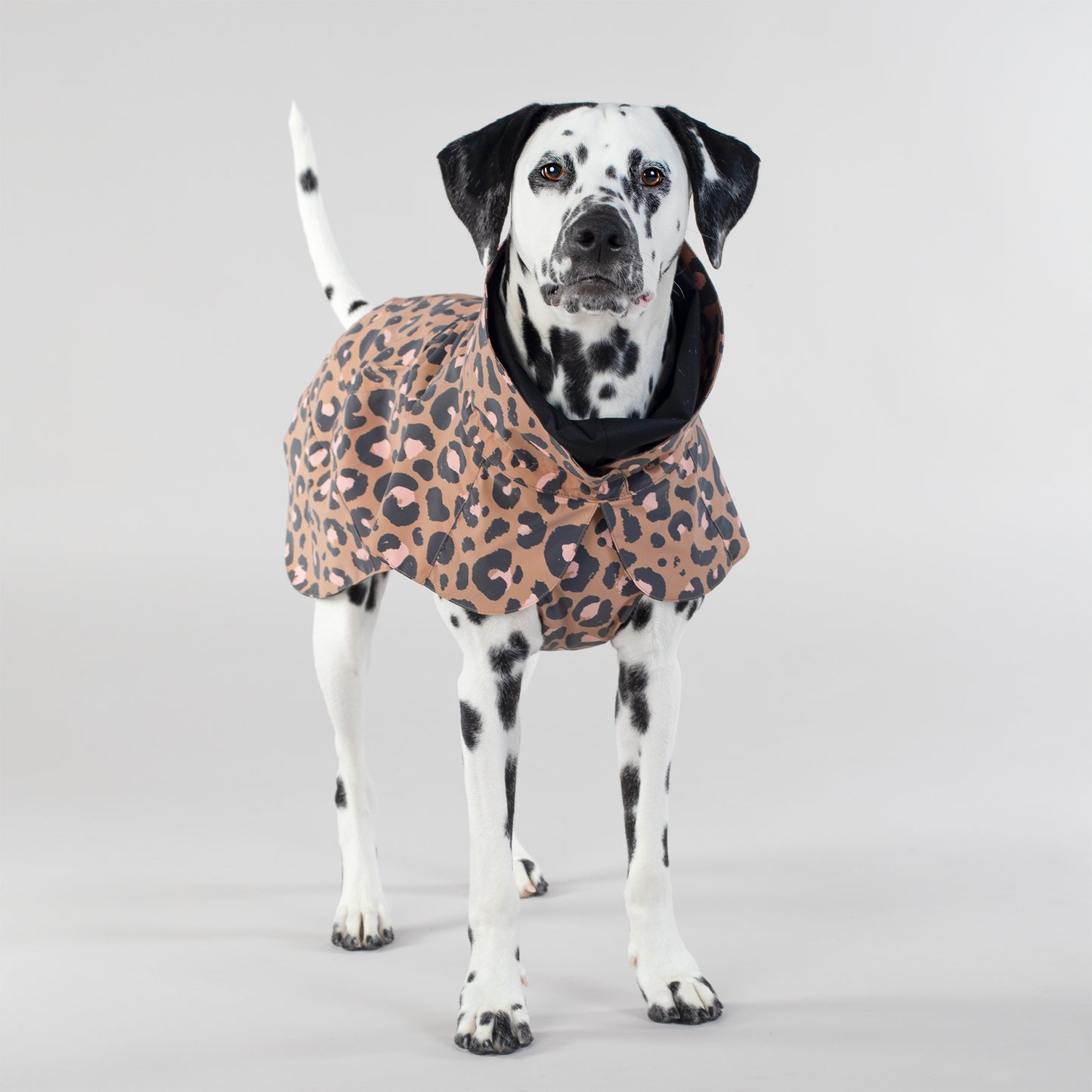 Visibility Raincoat Lite Leopard for Dogs - Size 65