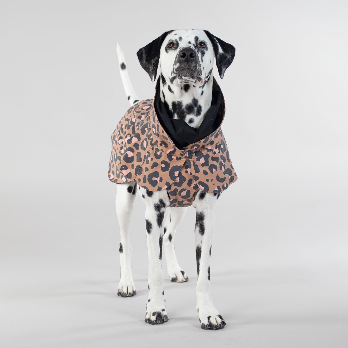 Visibility Raincoat Lite Leopard for Dogs - Size 55