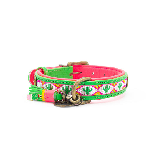 Tropical Summer Dog collar - Size S 2,5cm