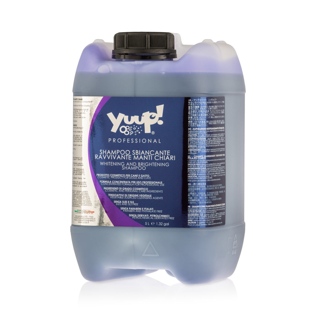 YUUP! Professional Whitening and Brightening Shampoo 10L